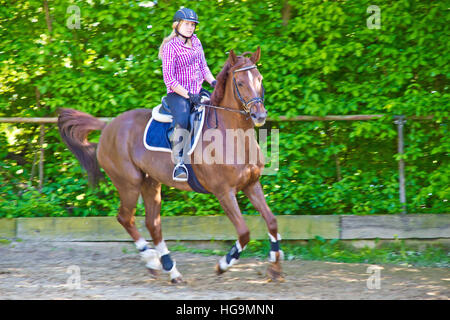 Junge Frau mit Pferd auf Sand statt training Stockfoto