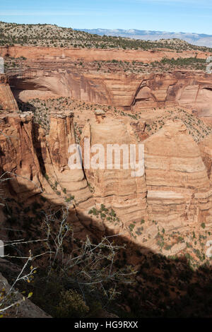 Die Koksöfen Formationen aus Sicht der Künstler in Colorado National Monument in der Nähe von Grand Junction, Colorado USA. Stockfoto