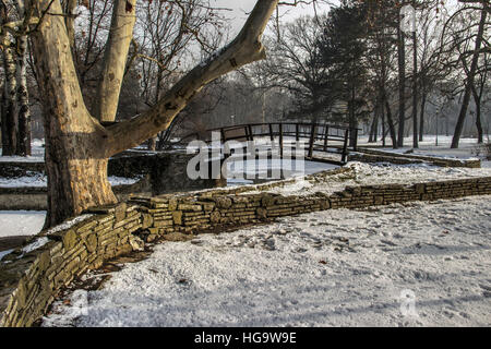 Belgrad, Serbien - hölzerne Fußgängerbrücke in Topcider Park im winter Stockfoto