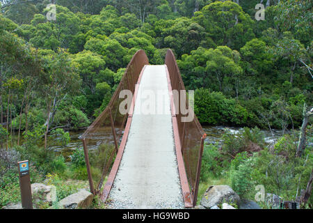 Die Thredbo Fluss Kosciuszko National Park Australien überbrücken Sie 5 Stockfoto