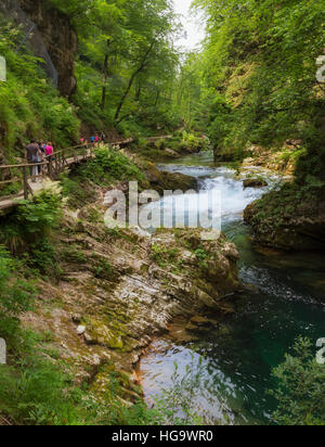 Die Radovna Fluss durchschneidet die Vintgar-Schlucht in der Nähe von Bled, obere Krain, Slowenien.  Die Schlucht ist im Triglav-Nationalpark. Stockfoto