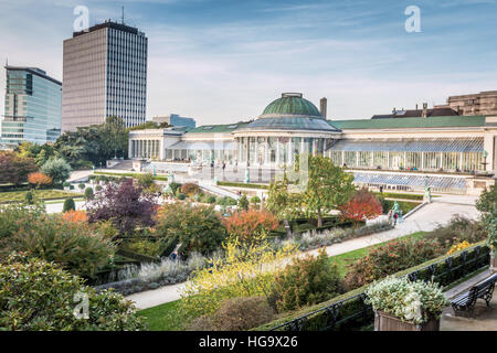 Botanischer Garten in Brüssel Belgien Stockfoto