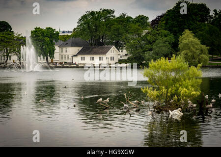 Blick auf den Brunnen in Breiavatnet, Stavanger, Norwegen Stockfoto