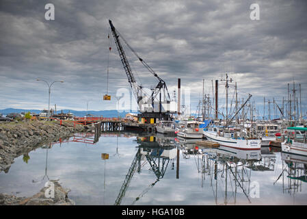 Rammarbeiten Kran HM Tacoma schwimmende Trümmer Lastkahn arbeiten im Hafen von französischen Creek, Vancouver Island, BC. Kanada. SCO 11.360. Stockfoto