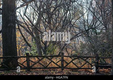 Central Park in New York. Stockfoto