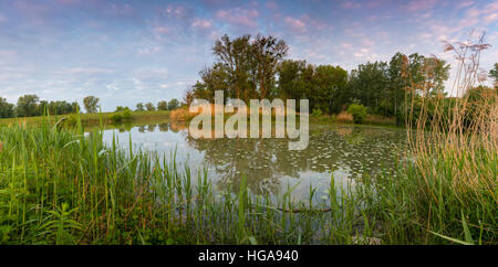 Schönau, untere Lobau, Nationalpark Danube-Auen, Donau, Niederösterreich, Österreich Stockfoto