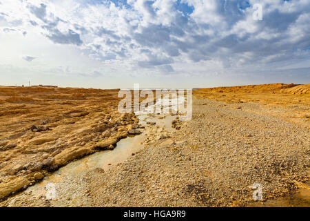 Wadi in Südmarokko sind saisonale Wasser Versorgung in der Oase Stockfoto