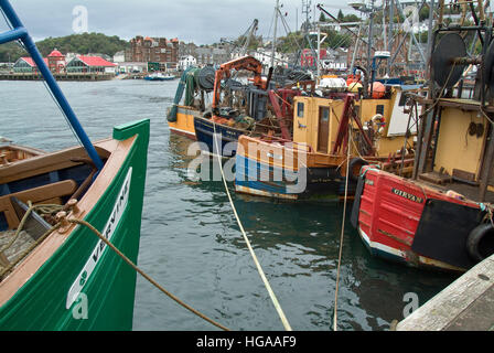 Angelboote/Fischerboote im Dock in Oban, Schottland, Vereinigtes Königreich. Stockfoto