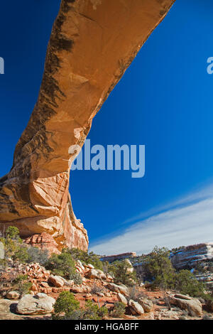 Natural Bridges National Monument in Utah - der Owachomo-Brücke, einer der drei natürlichen Brücken in das Denkmal. Stockfoto