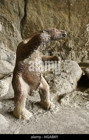 Lebensgroße Nachbildung des prähistorischen Mylodon an monumentalen natürliche Cueva de Milodon in der Nähe von Puerto Natales, Patagonien, Chile Stockfoto