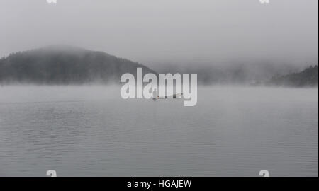 Hangzhou, Hangzhou, China. 7. Januar 2017. Ein Fischer Fisch im Liuxi Lake in Hangzhou, Hangzhou, Hauptstadt der ostchinesischen Provinz Zhejiang. © SIPA Asien/ZUMA Draht/Alamy Live-Nachrichten Stockfoto