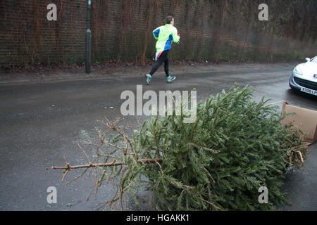 Wimbledon London, UK. 7. Januar 2017. Alte Weihnachtsbäume warten erfasst die festliche Zeit nach, wie viele Räte im UK Kampf zu bewältigen mit der riesigen Menge von recycling-Wohn-und sich weigern, die Gutschrift generiert werden: Amer Ghazzal/Alamy Live-Nachrichten Stockfoto