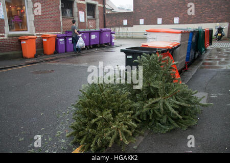 Wimbledon London, UK. 7. Januar 2017. Alte Weihnachtsbäume warten erfasst die festliche Zeit nach, wie viele Räte im UK Kampf zu bewältigen mit der riesigen Menge von recycling-Wohn-und sich weigern, die Gutschrift generiert werden: Amer Ghazzal/Alamy Live-Nachrichten Stockfoto