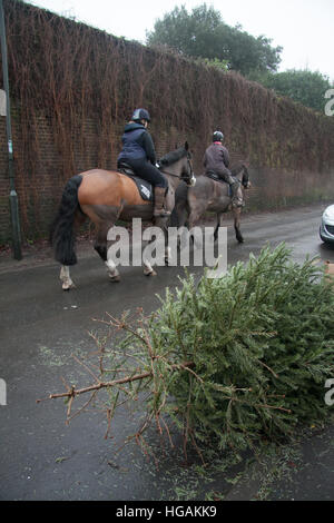 Wimbledon London, UK. 7. Januar 2017. Alte Weihnachtsbäume warten erfasst die festliche Zeit nach, wie viele Räte im UK Kampf zu bewältigen mit der riesigen Menge von recycling-Wohn-und sich weigern, die Gutschrift generiert werden: Amer Ghazzal/Alamy Live-Nachrichten Stockfoto