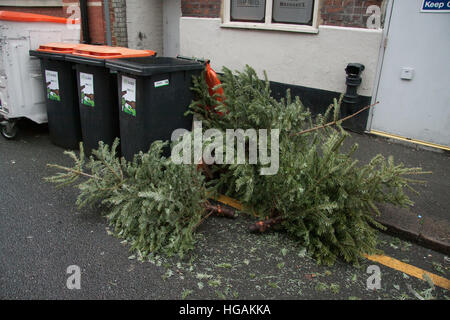 Wimbledon London, UK. 7. Januar 2017. Alte Weihnachtsbäume warten erfasst die festliche Zeit nach, wie viele Räte im UK Kampf zu bewältigen mit der riesigen Menge von recycling-Wohn-und sich weigern, die Gutschrift generiert werden: Amer Ghazzal/Alamy Live-Nachrichten Stockfoto