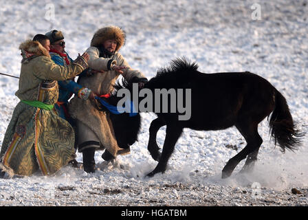 Peking, China autonomen Region Innere Mongolei. 6. Januar 2017. Hirten zähmen ein Pferd in Xilinhot, Nord-China autonomen Region Innere Mongolei, 6. Januar 2017. © Ren Junchuan/Xinhua/Alamy Live-Nachrichten Stockfoto