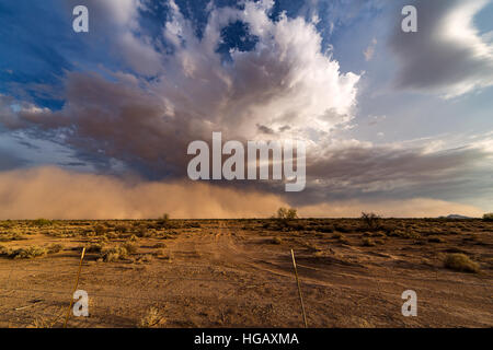 Habub Staub und Sand Sturm über der Wüste in der Nähe von Phoenix, Arizona Stockfoto