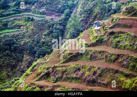 Erhöhten Blick auf terrassierten Gemüsefarmen in den Grand Cordillera Bergen im nördlichen Insel Luzon, Philippinen. Stockfoto