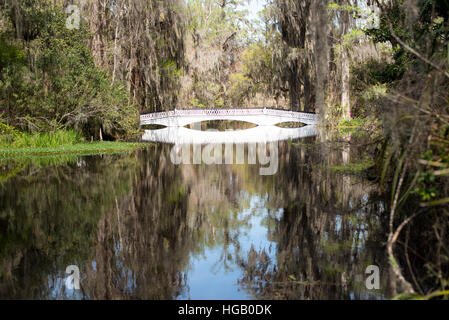 South Carolina Plantage Teich mit weiße Brücke spiegelt sich im Wasser Stockfoto