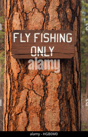 Fliegenfischen Sie Zeichen auf Gelb-Kiefer (Pinus Ponderosa), Metolius Wild and Scenic River, Deschutes National Forest, Oregon Stockfoto