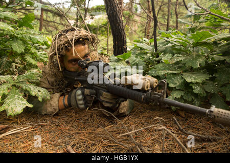 US-Marine Scout Sniper bietet Sicherheit für seine Einheit in Südkorea. Stockfoto