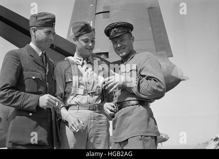 Amerikanischen, russischen und Royal Air Force Piloten, 1943. Stockfoto