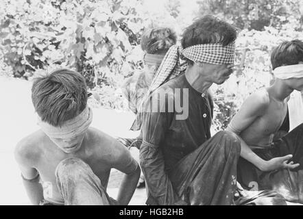 Viet Cong Gefangenen während der Operationen in Vietnam gefangen genommen. ca. 1960-1969 Stockfoto