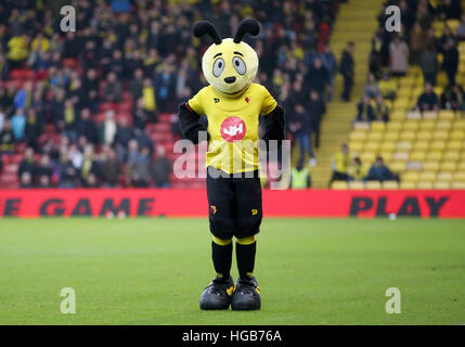 Watford Maskottchen Harry die Hornet während der Emirate FA Cup, dritten Vorrundenspiel in Vicarage Road, Watford. Stockfoto