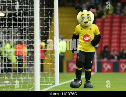 Watford Maskottchen Harry die Hornet während der Emirate FA Cup, dritten Vorrundenspiel in Vicarage Road, Watford. Stockfoto