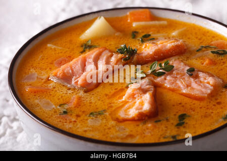 Reiche Lachs Suppe mit Gemüse und Thymian-Makro in einer weißen Schale. horizontale Stockfoto