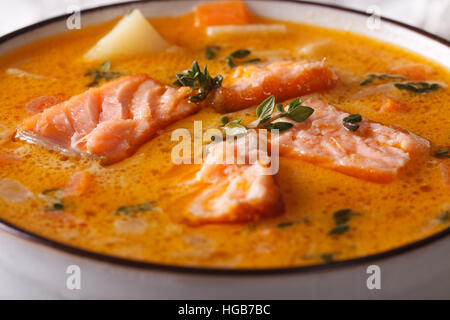 Lachssuppe mit Gemüse und Thymian-Makro in einer weißen Schale. horizontale Stockfoto