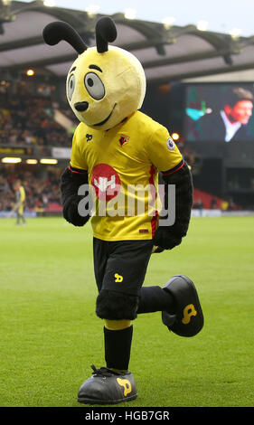 Watford Maskottchen Harry die Hornet während der Emirate FA Cup, dritten Vorrundenspiel in Vicarage Road, Watford. Stockfoto