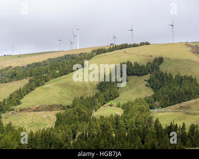 Windkraftanlagen am Rand des Kraters. Ein Cluster von Windturbinen erzeugt Strom entlang dem Rand des Kraters Furnas über steilen grünen Weiden. Stockfoto