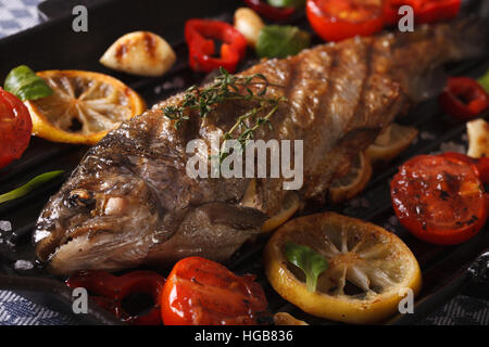 Schmackhafte Regenbogenforelle mit Gemüse auf dem Grill pan Makro. horizontale Stockfoto