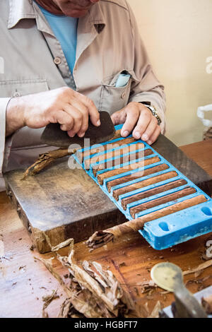 Bilden der kubanischen Zigarren, Vinales, Kuba Stockfoto