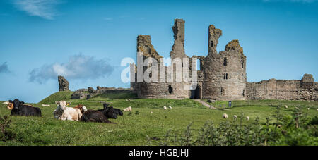 Dunstanburgh Castle, Northumberland Küste, UK Stockfoto