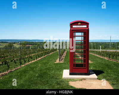 Luckett Weinberg in der Nähe von Wolfville im Annapolis Valley in Nova Scotia, mit britischen Telefonzelle unter den Weinreben. Stockfoto