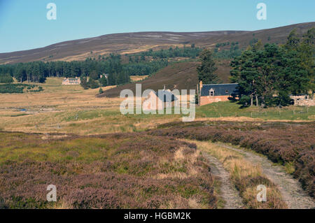 Dorback Lodge & obere Dell bei den Braes Abernathy in nördlichen Cairngorms National Park, Schottisches Hochland, Schottland, Großbritannien Stockfoto