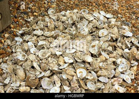 Ein Haufen alter gebrochen Austernschalen Stockfoto