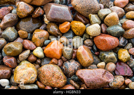 Viele große und kleine Kiesel Steinen, an einem Strand, Insel Rügen, Ostseeküste, Deutschland Stockfoto