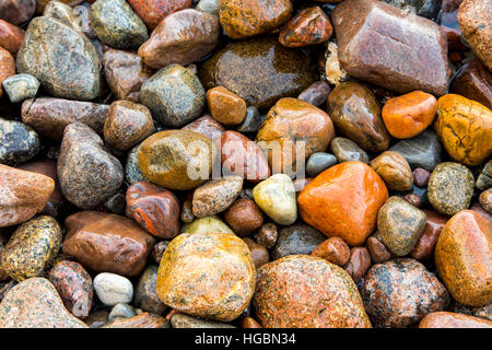 Viele große und kleine Kiesel Steinen, an einem Strand, Insel Rügen, Ostseeküste, Deutschland Stockfoto