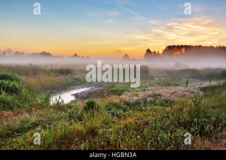Nebligen Sommerwiese am Morgen. Misty Dawn Panorama. Nebligen Sonnenaufgang über den Wald Stockfoto