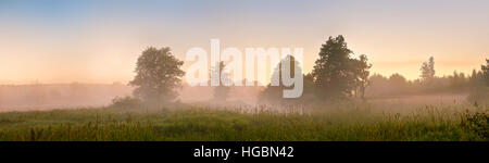 Sommer nebligen Dämmerung über dem Moor. Neblige Sumpf am Morgen. Nebliger Morgen Panorama. Stockfoto