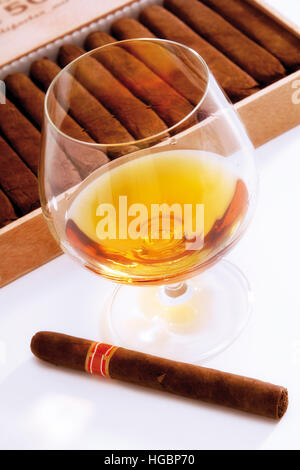 Cigar Box und Cognac-Becher Stockfoto