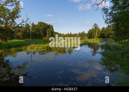 Sonnigen Nachmittag Palast Parklandschaft in Bialowieza mit Teich, Bialowieza, Polen, Europa Stockfoto