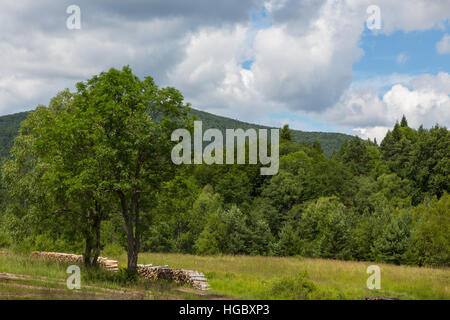 Sommer-Landschaft des Bieszczady Gebirges mit Blick auf Szczycisko, Bieszczady Ridge, Polen, Europa Stockfoto