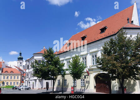 Györ (Raab): Wien-Tor-Platz, Altabak Haus, im Hintergrund die Liebe Frau Kathedrale, Györ-Moson-Sopron, Ungarn Stockfoto