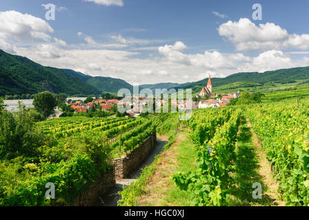 Weißenkirchen in der Wachau: Blick nach Weißenkirchen, Wachau, Niederösterreich, Niederösterreich, Österreich Stockfoto