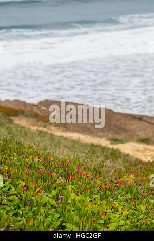 Landschaft-Atlantikküste mit Steinen, Pflanzen und surft im bewölkten Tag Stockfoto