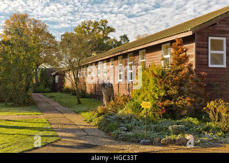 Hemel Hempstead, England - November 2016: Fotografieren von Amaravati buddhistisches Kloster bei Sonnenaufgang. Das Kloster ist inspiriert von den Thai Forest Traditio Stockfoto